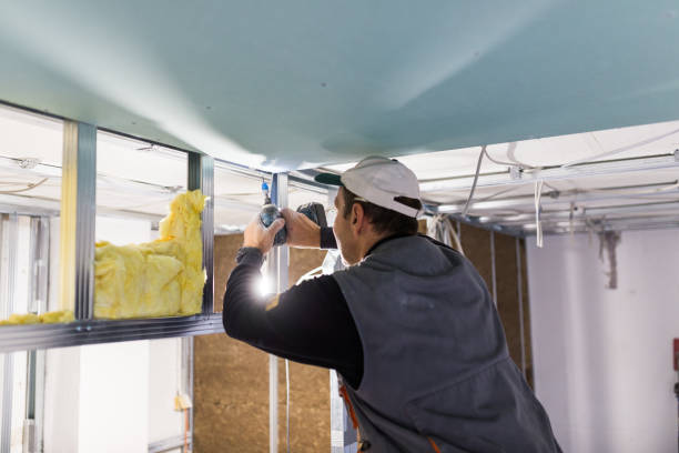 Best Commercial Insulation in Spring Valley Village, TX