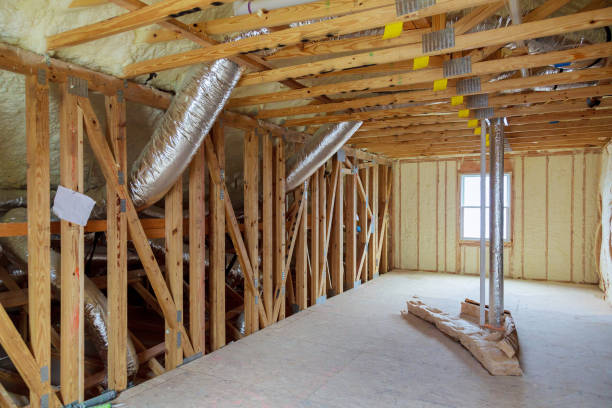 Best Insulation Maintenance and Repair in Spring Valley Village, TX