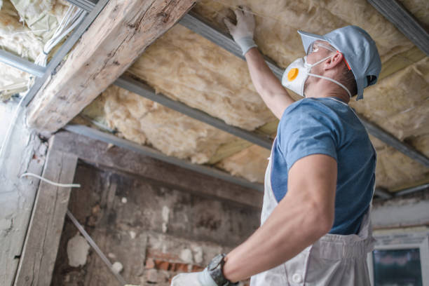 Best Eco-Friendly Insulation in Spring Valley Village, TX